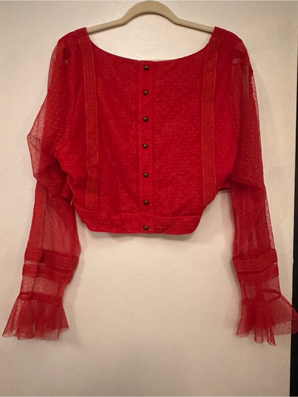 Anthropologie Red Sheer Button-Back Cropped Blouse & Skirt Set